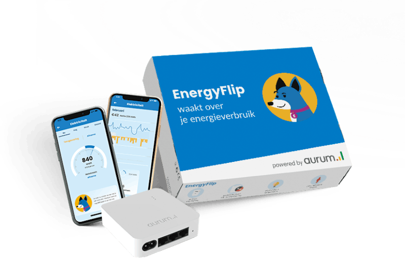 Energyflip