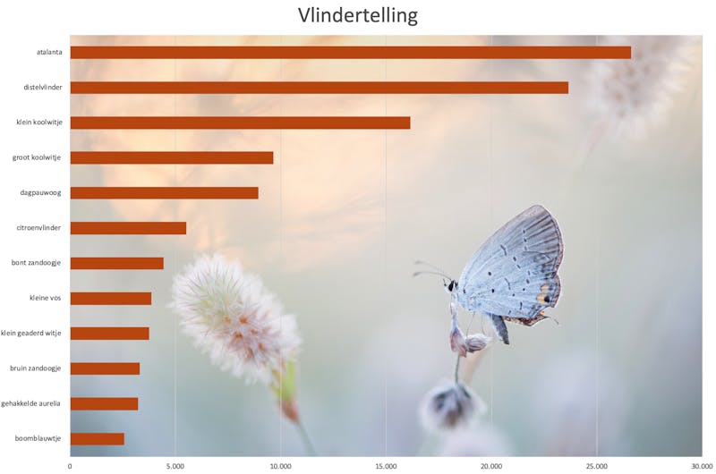 Gebruik alleen afbeeldingen als die een meerwaarde vormen voor de grafiek.