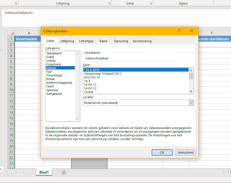 Geef voor elke kolom (of rij) aan hoe Excel de waarden moet interpreteren.
