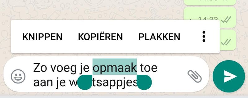 Opmaak in Whatsapp