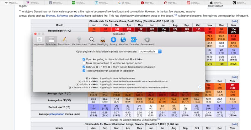 Je moet de functie wel even aanzetten in Safari 12, maar daarna zie je icoontjes in al je tabbladen.