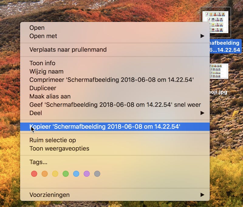 Via het contextmenu kan je ook bestanden in Finder (eveneens actief op het bureaublad) in macOS kopiëren