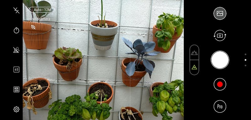 Het blaadje linksbovenin geeft aan dat de camera plantjes herkent.