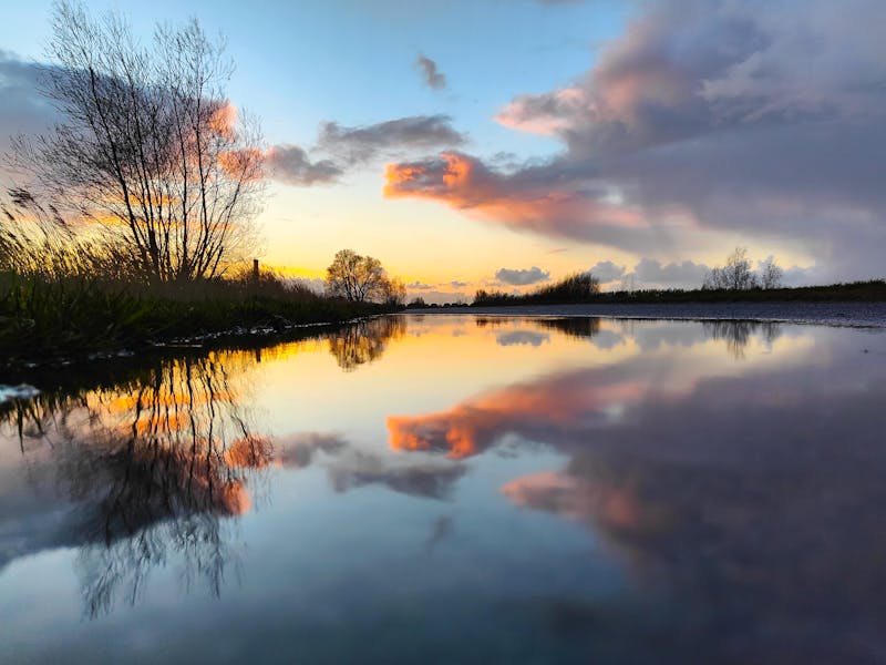 Tip 04 Op regenplassen vind je vaak de mooiste reflecties.