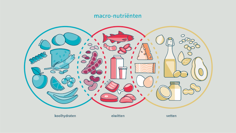 calorieën koolhydraten eiwitten vetten