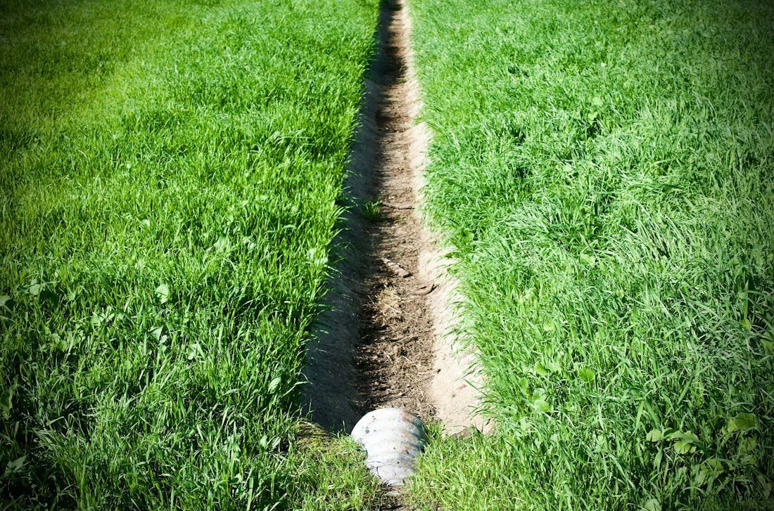 Het belang van goede tuindrainage: zo voorkom je wateroverlast