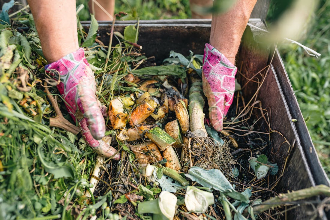 Composteren kun je leren: de beginnersgids voor compost