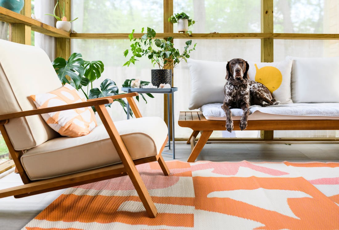 Een beestenboel bij jou? Zo blijft je huis schoon met huisdieren