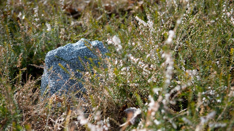 Een ArtSound-speaker in rotsvorm in een grasveld;