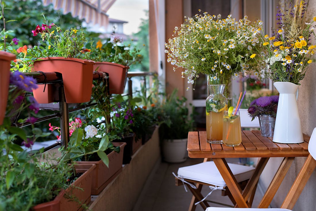 Tuinieren op een balkon: er kan meer dan je misschien denkt!