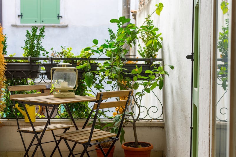 Gezellig balkon met planten