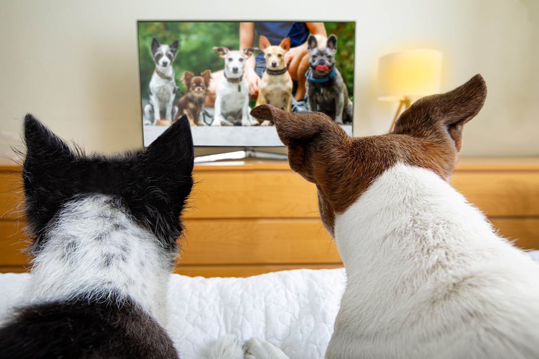 Waar voor je geld: 5 goedkope televisies voor de slaapkamer