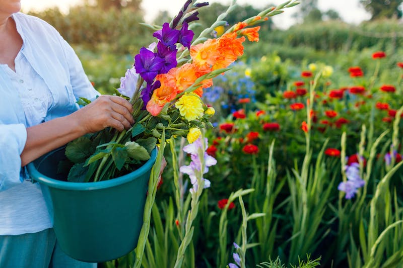 Bloemen plukken