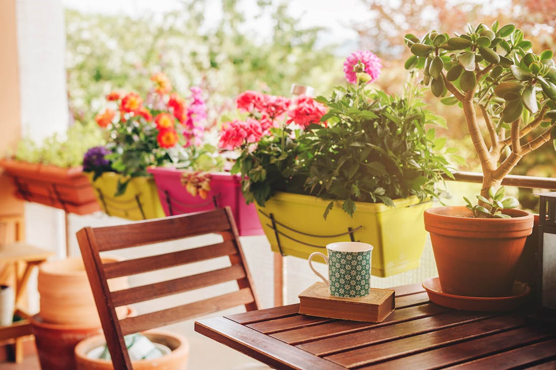 Planten op een balkon: waar moet je op letten en wat is geschikt voor jouw balkon?