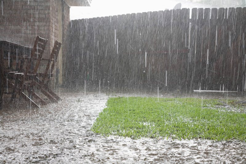 Regen in de tuin