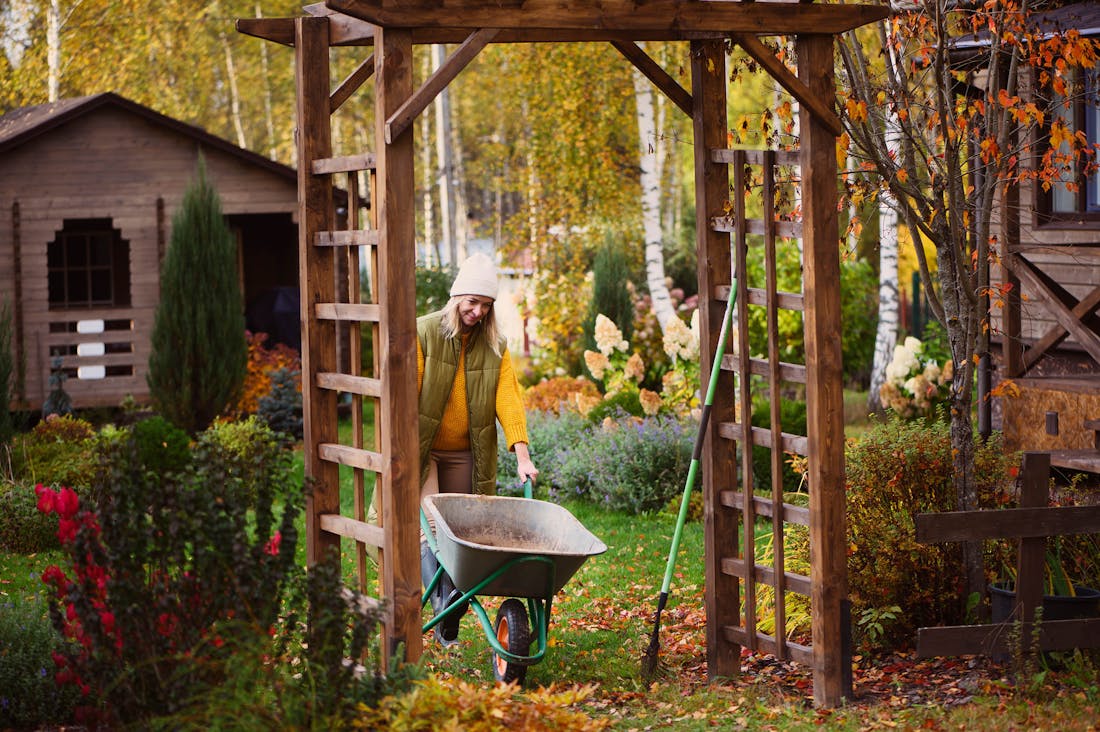 Tuinieren in oktober: oogsttijd en voorbereiding op de winter