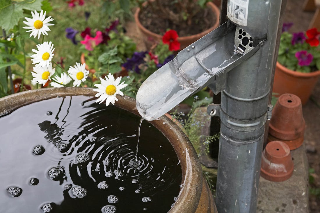 Waarom iedereen een regenton in de tuin zou moeten hebben