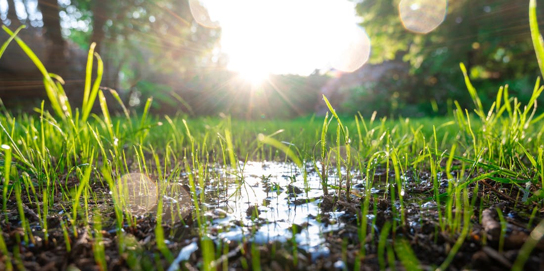 Voorkom wateroverlast met infiltratiekratten