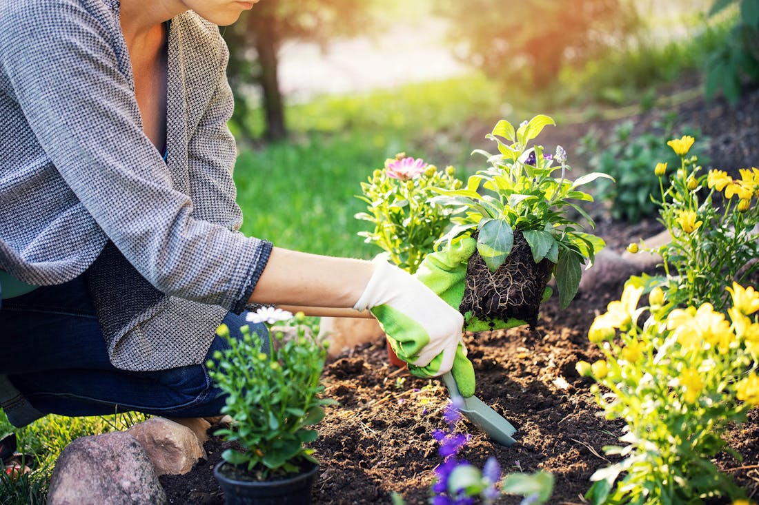 Lente in volle bloei: dit doe je in de tuin in april