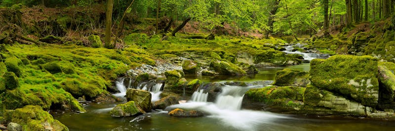 Panoramafoto van natuur