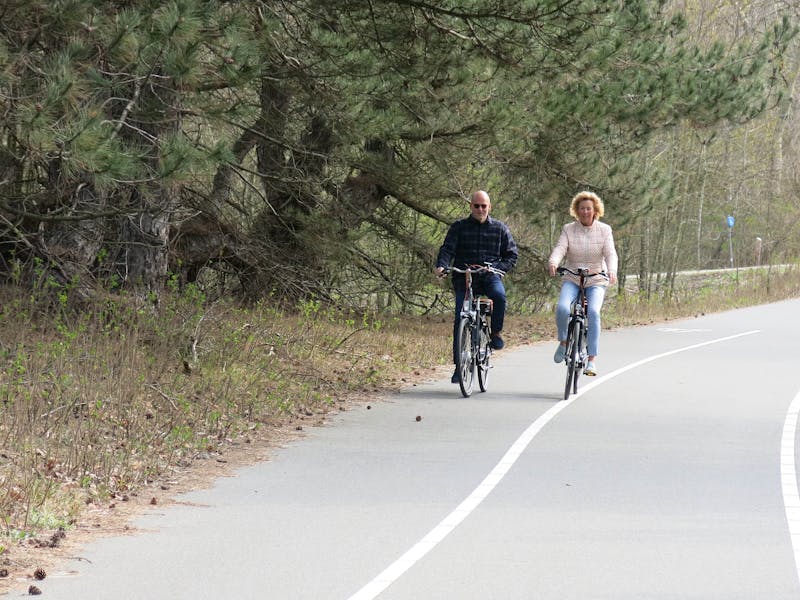 Fietsen in de herfst slalommen om de dennenappels