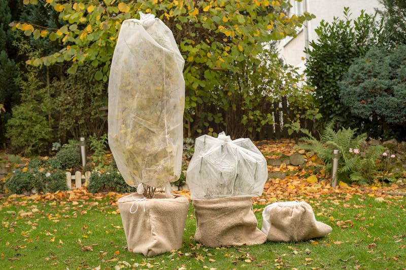 Ingepakte potplanten