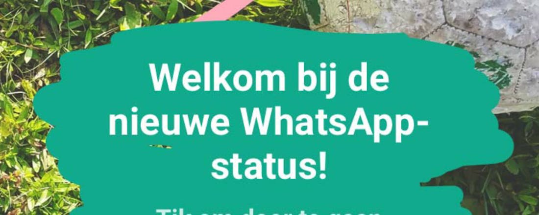 Zo gebruik je de nieuwe status in WhatsApp op iPhone en Android