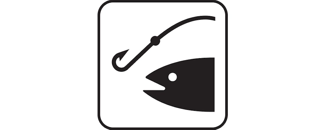 Herken jij phishing-mails? Doe de Google-test