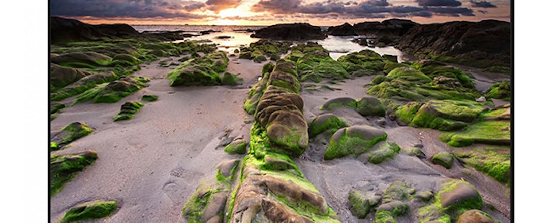 Sharp op IFA 2018: Van budgetsmartphones tot 8K-tv's