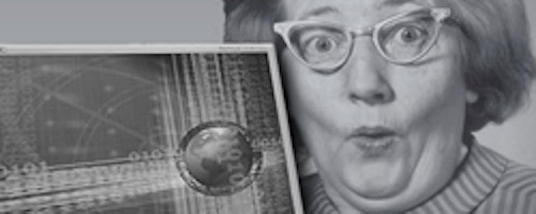 Aantal oudere internetters fors toegenomen