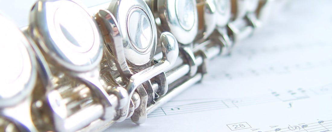 default_beeld.jpg Dragon