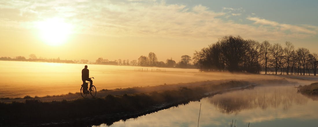 Hoe sterk is de eenzame fietser 5 tips om extra vitamine D binnen te krijgen voor energie en een betere stemming