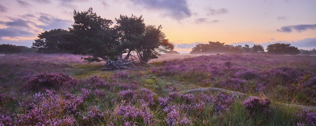 Hoeveel cloudopslagruimte heb je nog over?