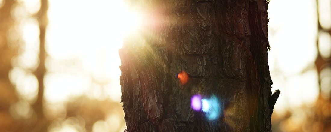 Energy light Winterdepressie? Een energy light of daglichtlamp helpt