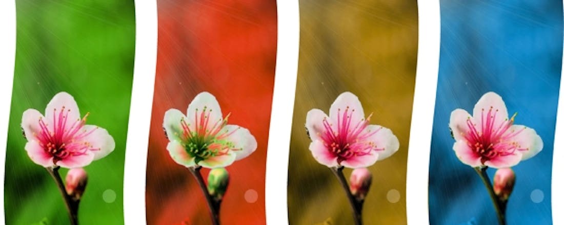 computertotaal_28786_ay5yiz15zz9h2eyq.jpg Zo bewerk je eenvoudig raw-foto's