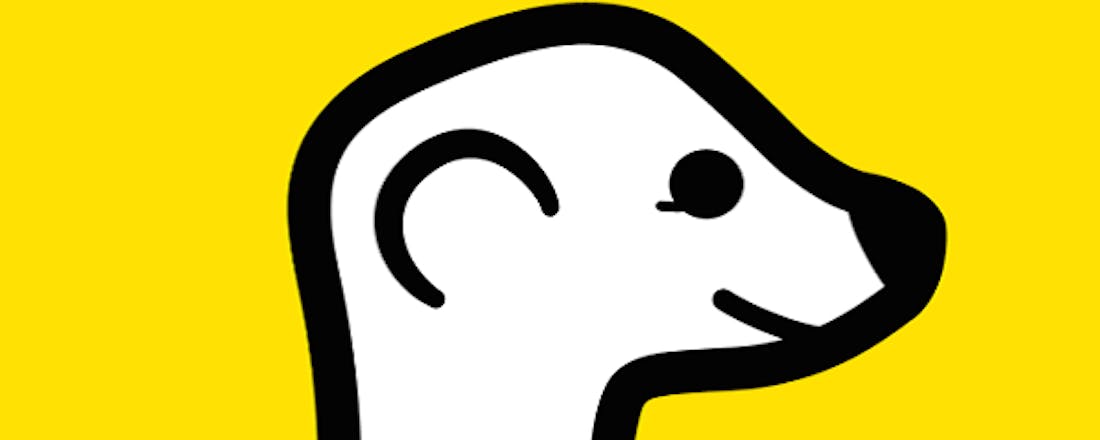 computertotaal_33901_273ikb95ew2rvhjp.png Meerkat: Zo stream je live video's op Twitter