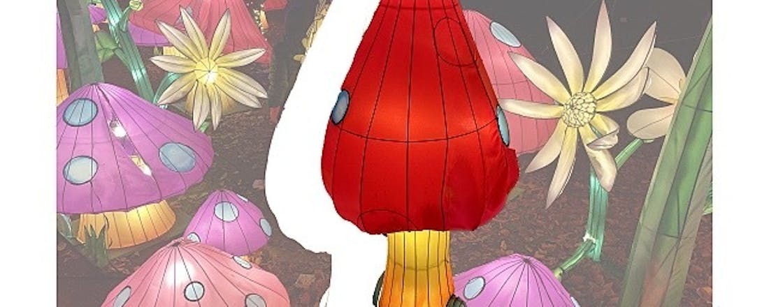 hero_lB0n1Wk.jpg Photoshop voor iPad: Objecten uitknippen en aanpassen