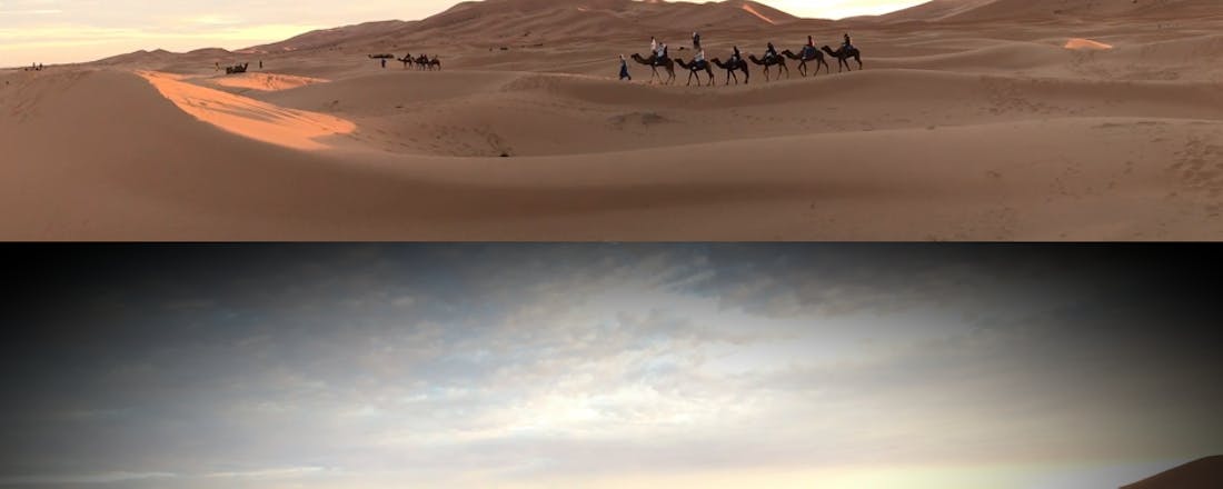 08olive.png Olive Video Editor: filmpjes maken als Tarantino