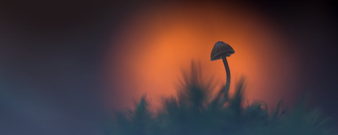 6cc13b2160068ed18612604b47743c13-don-t-let-the-sun.jpg Dit zijn de 10 beste Zoom.nl-foto's van oktober