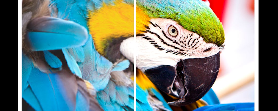 ct.jpg Ultra HD of Full HD? Dit moet je weten