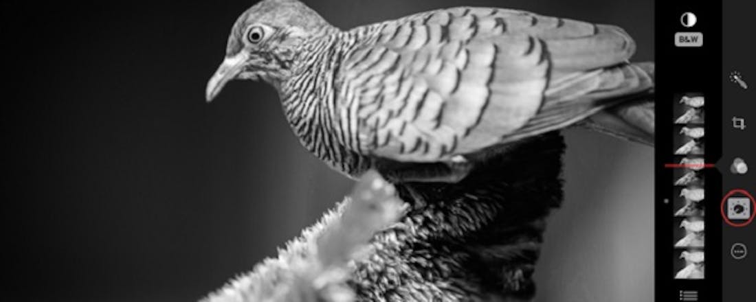 computertotaal_32787_sagr8zutyxhz5m6k.jpg 3 tips om matige foto's te verbeteren op de Mac