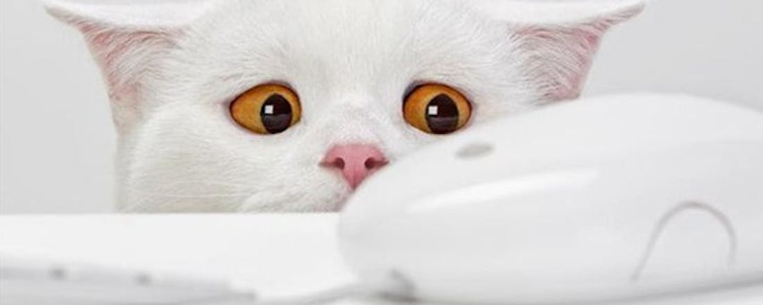 computertotaal_22878_cb8swswydgns6y1p.jpg Zet het klikgedrag van de muis naar je hand