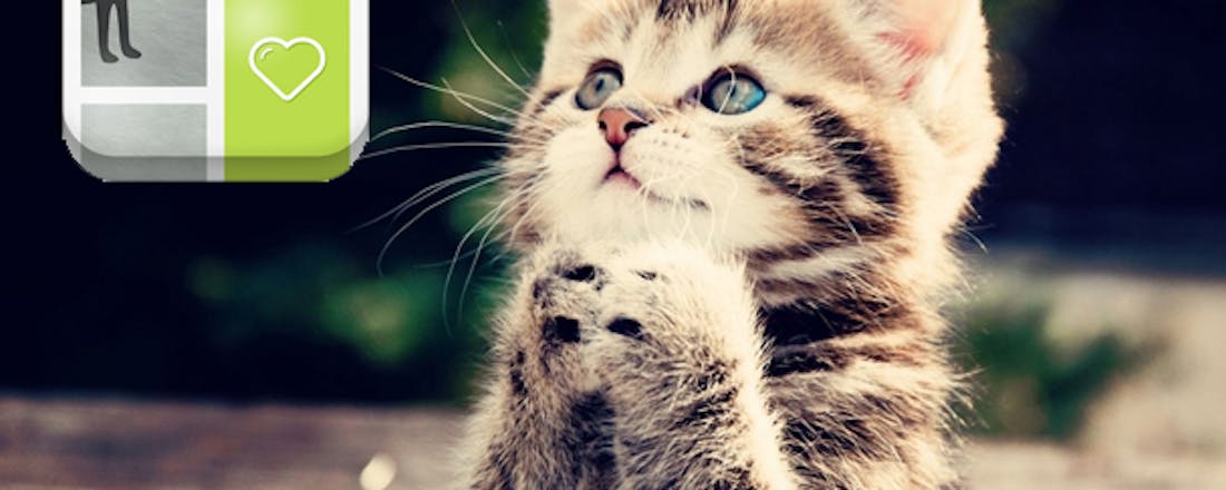 computertotaal_21975_ocqshusmgdvezgsy.jpg Peterest: Eindeloos foto's van de leukste huisdieren bekijken