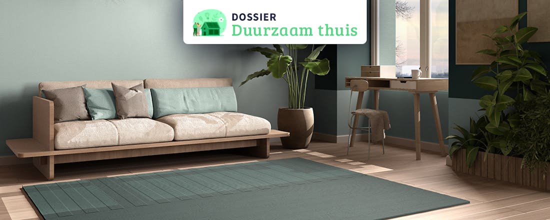 Duurzame woonkamer Duurzaam Thuis: bespaar honderden euro's met een duurzame woonkamer