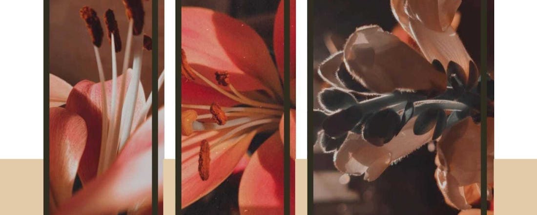 whatsapp-image-2020-02-25-at-161342.jpeg Fraaie collages maken met ShapeX doe je zo