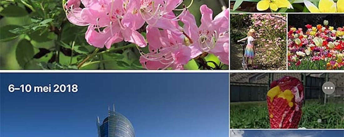 overzicht_LiVty5k.jpg Het vernieuwde Foto's in macOS Catalina