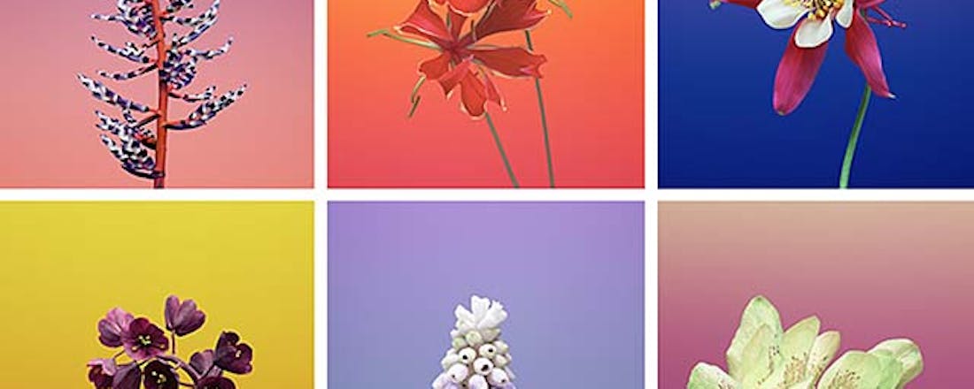 achtergrond.jpg Pas je iPad en iPhone achtergrond aan