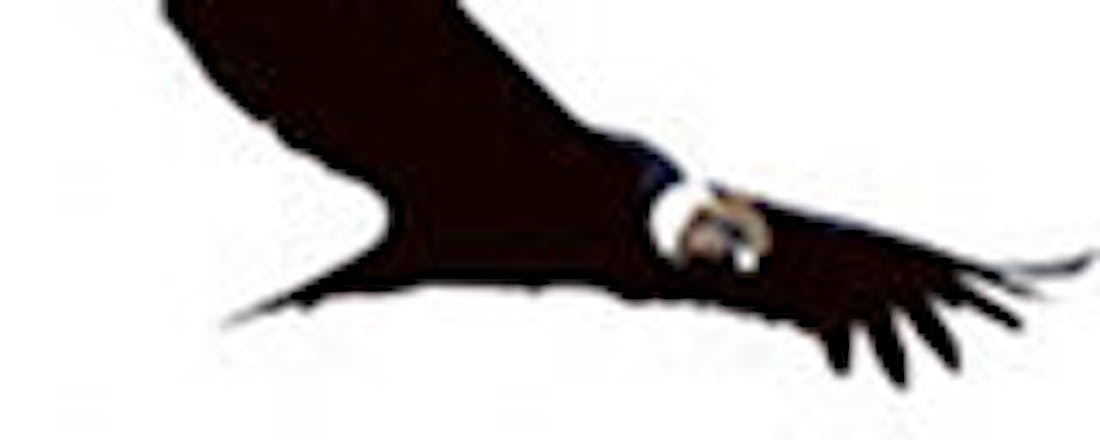 computertotaal_16347_dqw7p3n5asnthxde.jpg Gestolen MacBook Pro teruggevonden dankzij Prey