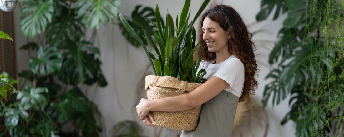 Vrouw met planten Deze kamerplanten zijn goed voor je gezondheid