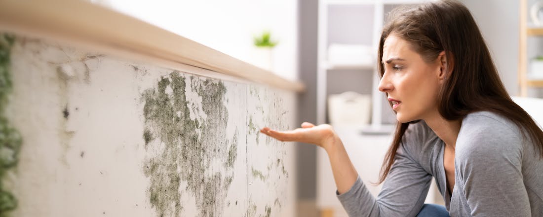 Muur schimmel Koudebruggen opsporen en aanpakken